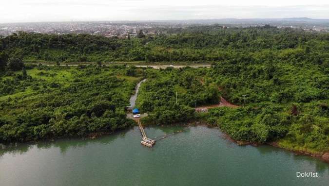 KPC Kembangkan Bibit Pohon Endemik di Bekas Lahan Tambang