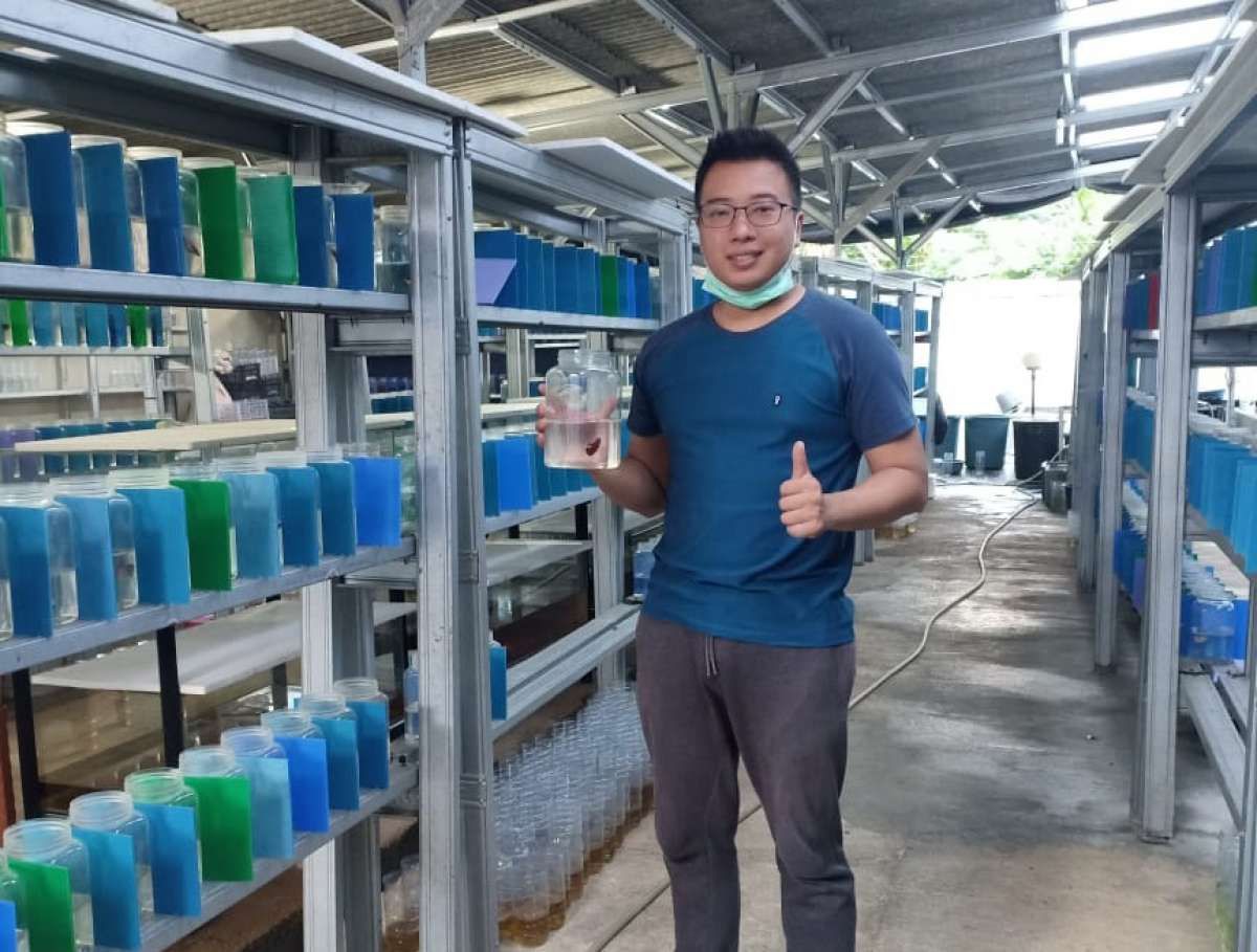 Ivan Prima, Jagoan Ikan Cupang dari Depok