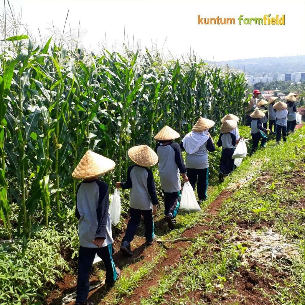 Punya konsep back to nature, wisata edukasi Kuntum Farmfield ada di Bogor