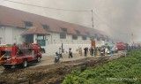 Museum Bahari di Pasar Ikan, Penjaringan terbakar 