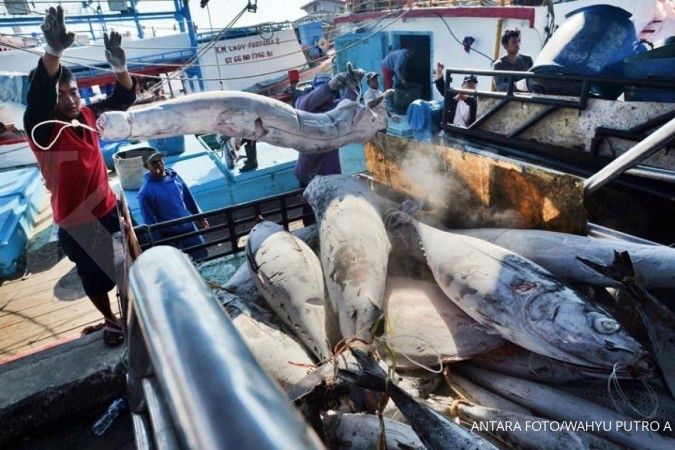 Jokowi meminta KKP percepat penerbitan izin kapal agar produksi ikan meningkat