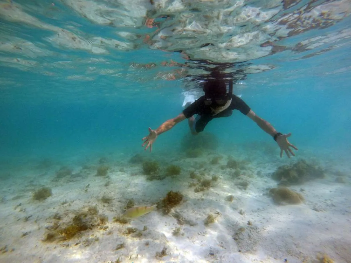 2.671 Substrat Karang  Disebar di Kepulauan Seribu Guna Pulihkan Ekosistem Pesisir