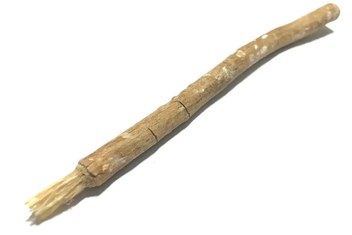 Mengenal manfaat siwak yang harus Anda tahu