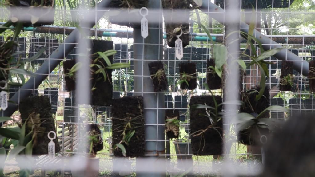 Kontan - Bukit Asam Kilas Online.