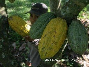 Kondisi Pantai Gading membaik, bea keluar kakao turun menjadi 10%