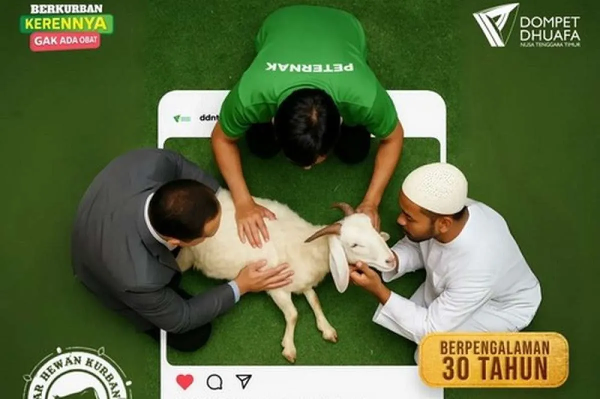 Harga Kambing 2025 di Nusa Tenggara Timur Jelang Idul Adha Menurut Dompet Dhuafa NTT