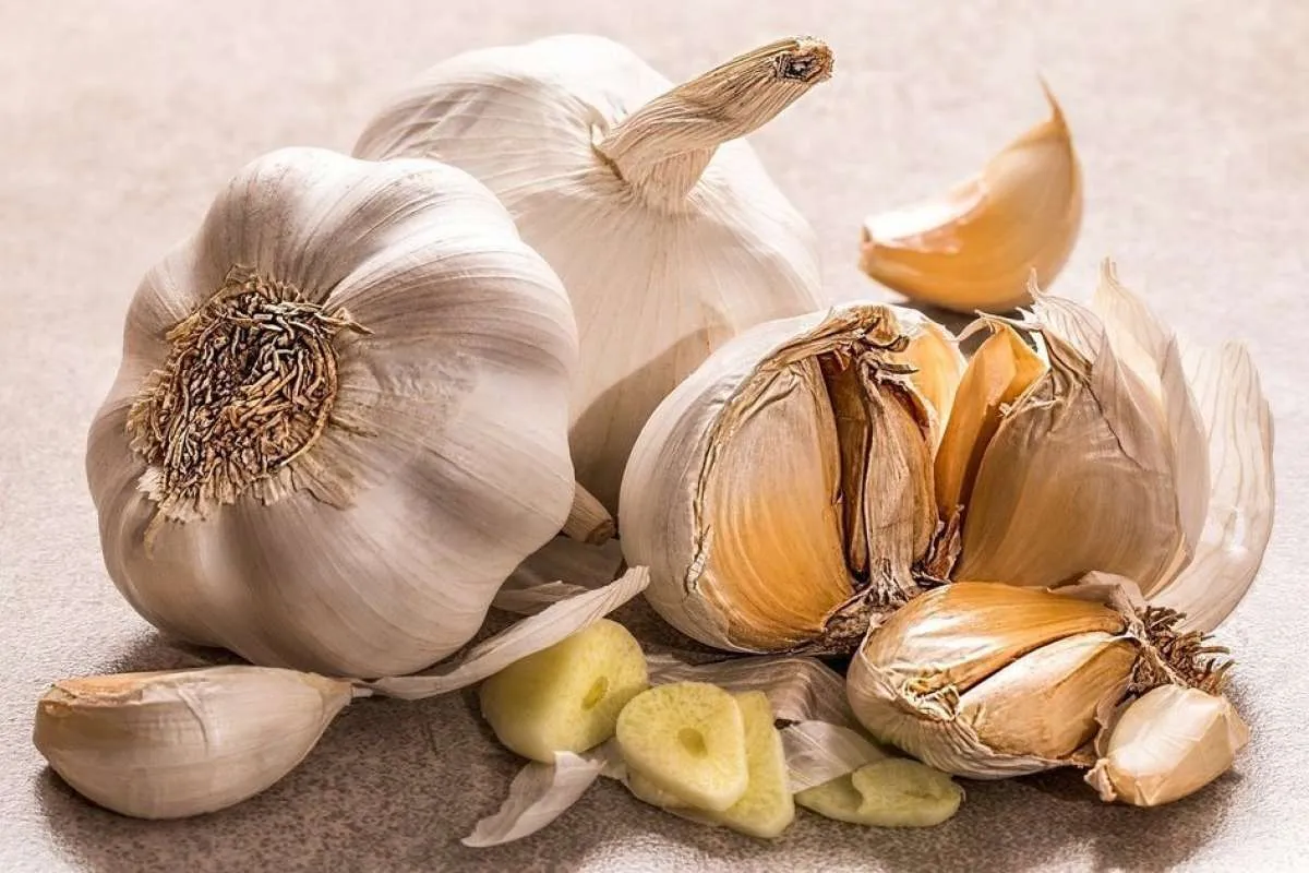 Baik Buat Hipertensi & Kolesterol, Ini Sederet Manfaat Bawang Putih Buat Tubuh