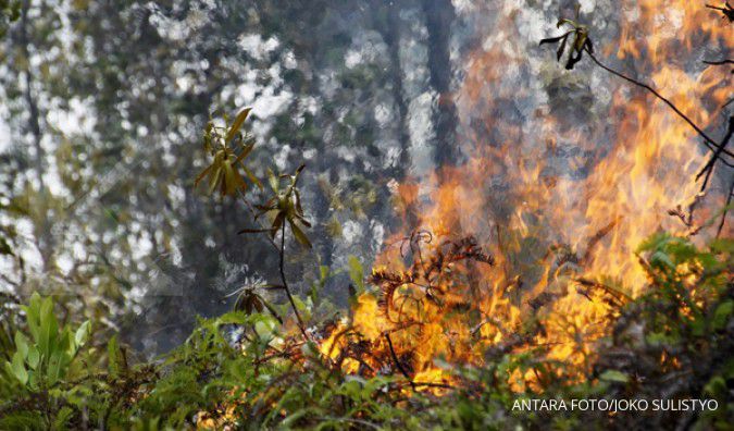 Cuaca kering, titik api di hutan Riau bertambah