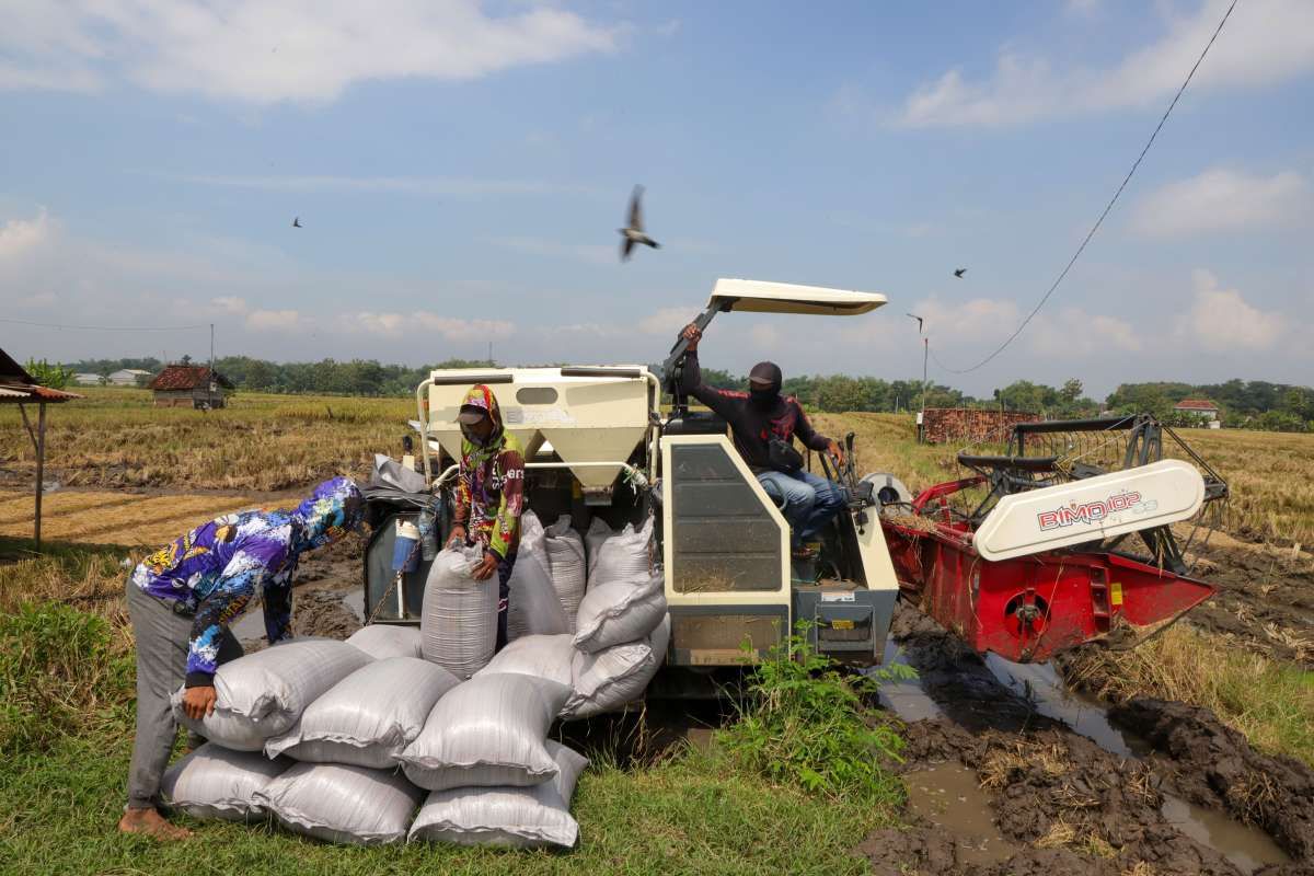 Penyangga Tatanan Negara Indonesia, Itulah Petani