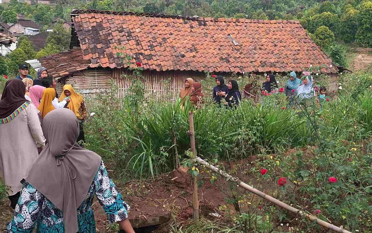 PNM Inisiasi Pembentukan Klasterisasi Petani Bunga Mawar di Nganjuk