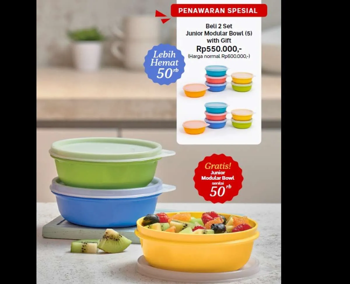 Resmi Keluar, Ini Ringkasan Katalog Promo Tupperware September 2023