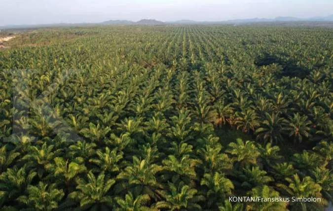 Malaysia says will work diplomatically with India if palm oil imports curbed