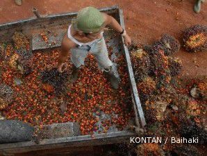 Industri sawit bisa usul perubahan perpres moratorium