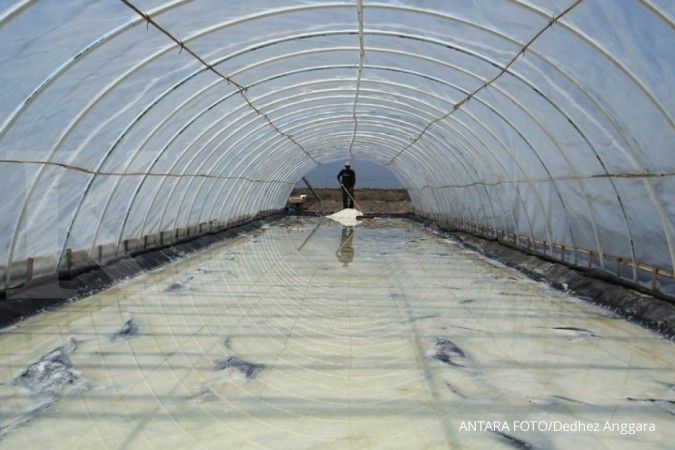 KKP rekomendasikan impor garam 2,1 juta ton
