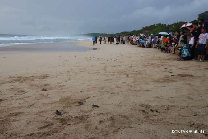 Apa Itu Rip Current? Ini Arti, Penyebab, hingga Cara Mengenali pada Bibir Pantai