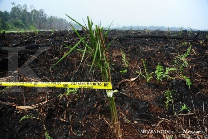 Badan restorasi gambut terima hibah US$ 90 juta