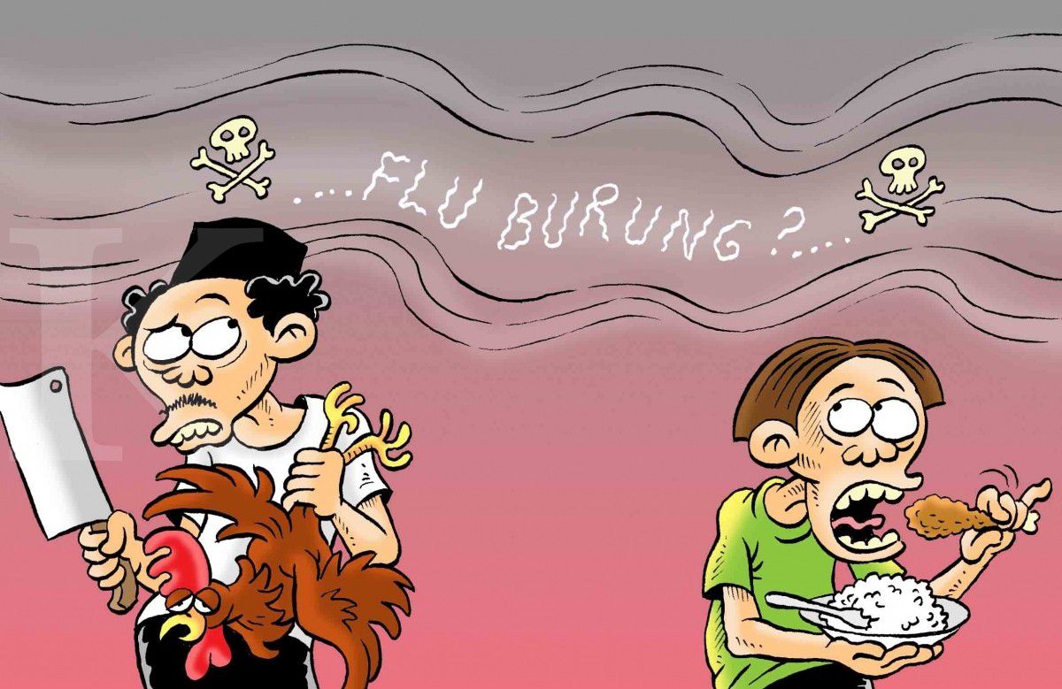 Flu Burung Menghantui Lagi