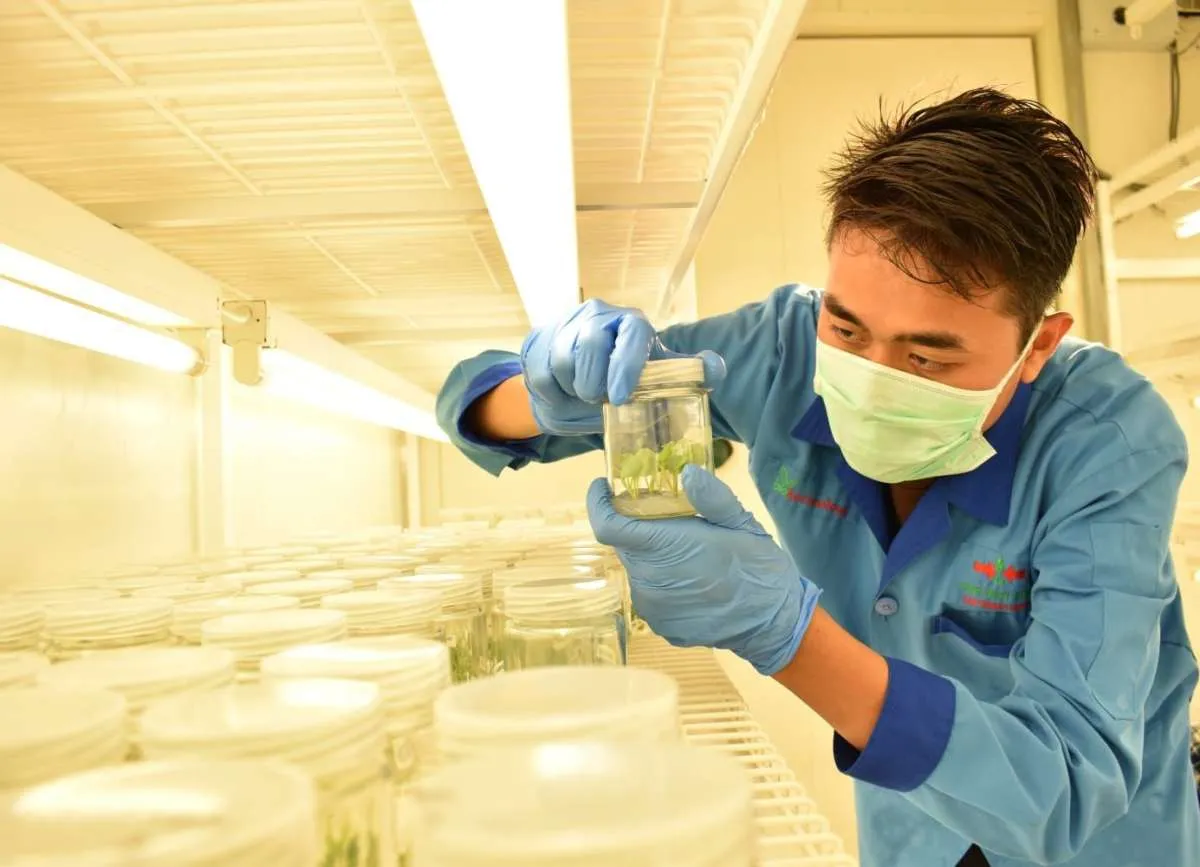 EWINDO Perkuat Riset dan Inovasi Hadapi Tantangan Industri Hortikultura 