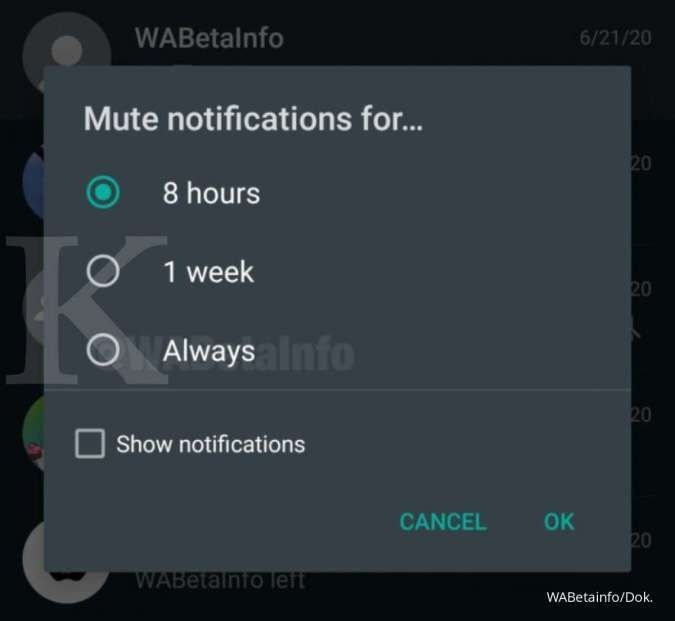 Aplikasi Whatsapp opsi mute selamanya, credit: WABetainfo