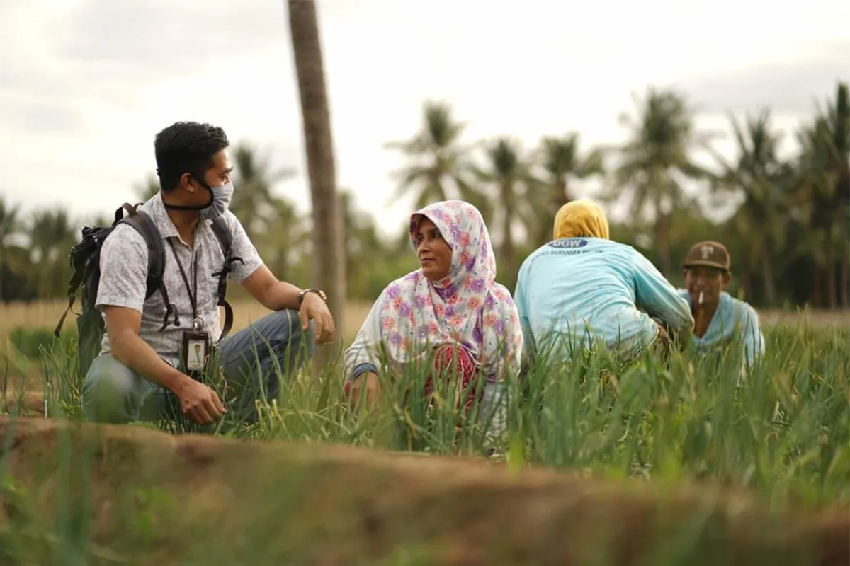 Salurkan KUR Pertanian Rp.26,5 Triliun Dalam 6 Bulan, Simak Strategi BRI !