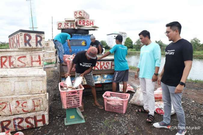 Hingga Akhir 2023, eFishery Targetkan Jumlah Pembudidaya Mencapai 250.000 
