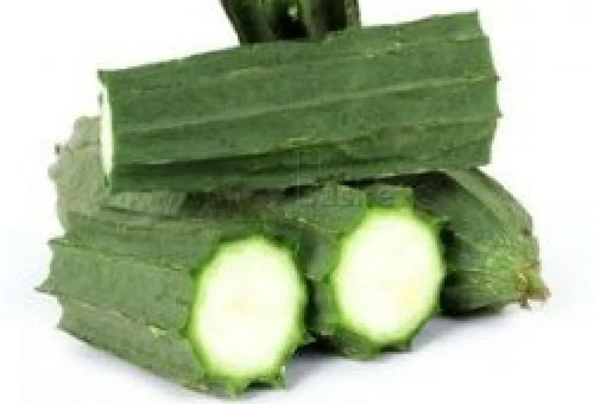 3 Manfaat oyong untuk kesehatan tubuh Anda