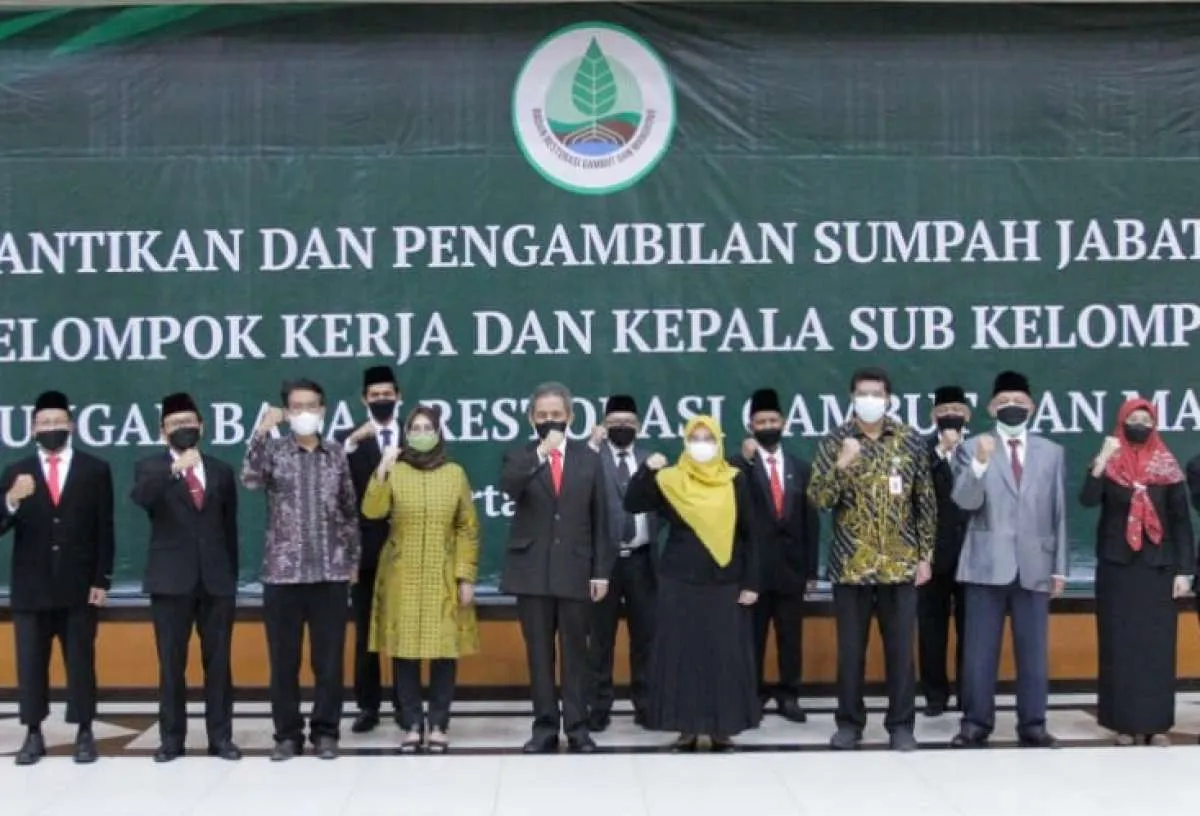 BRGM dorong inovasi dalam restorasi gambut dan rehabilitasi mangrove