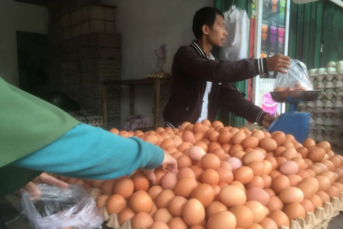 Harga Pangan Melejit, Kementerian Pertanian Diminta Serius Membenahi Produksi