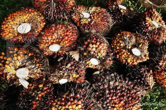 Indonesia to increase CPO production to 42 million