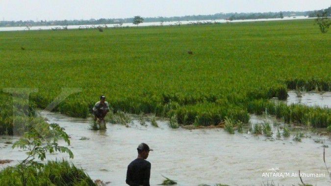 Petani korban banjir akan dibantu Rp 200 miliar