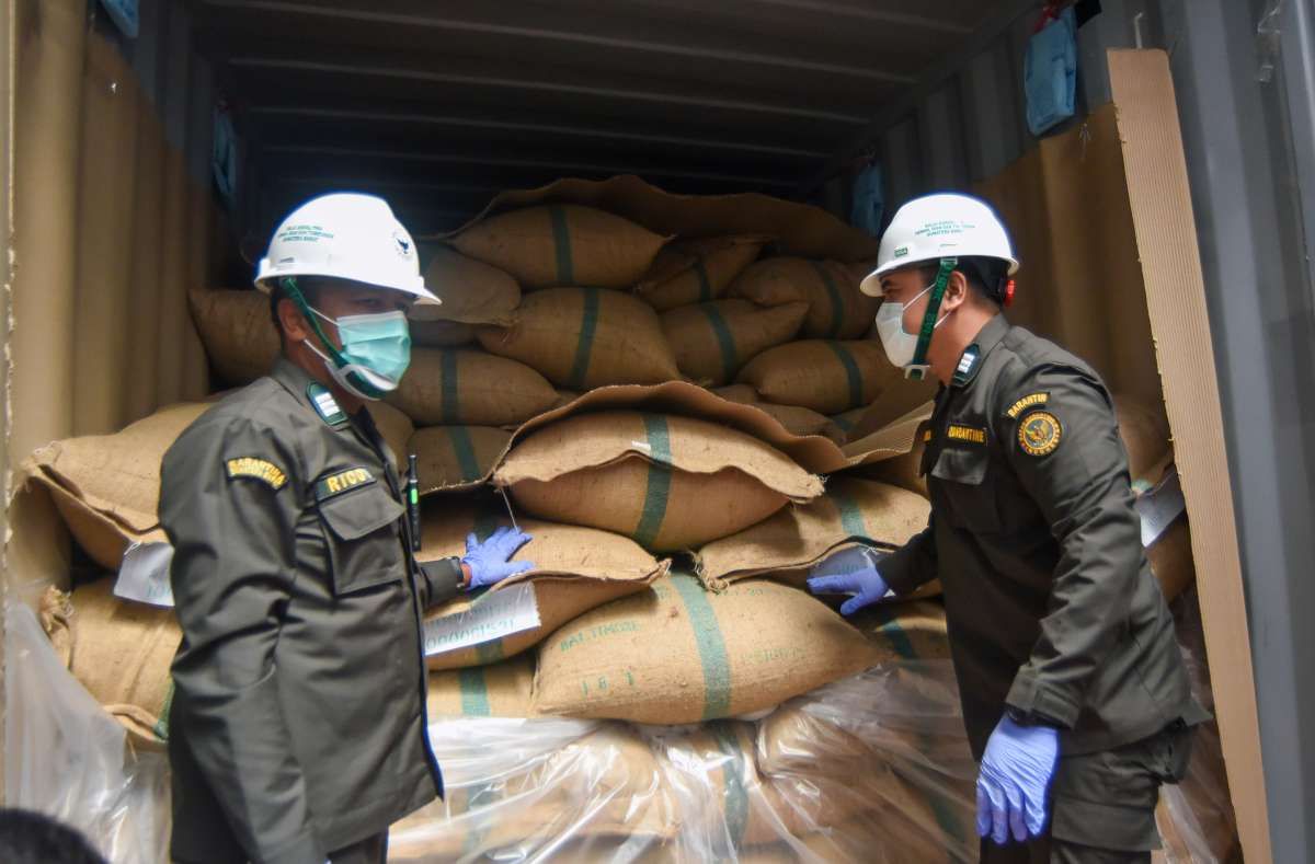 Pebisnis Tolak Wacana Relaksasi Ekspor Kayu Bulat