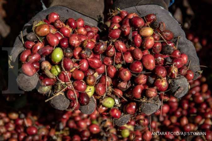 Desa devisa binaan LPEI mengekspor kopi ke Arab Saudi