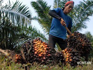 Laba Wilmar Naik 23% di Kuartal II 2009