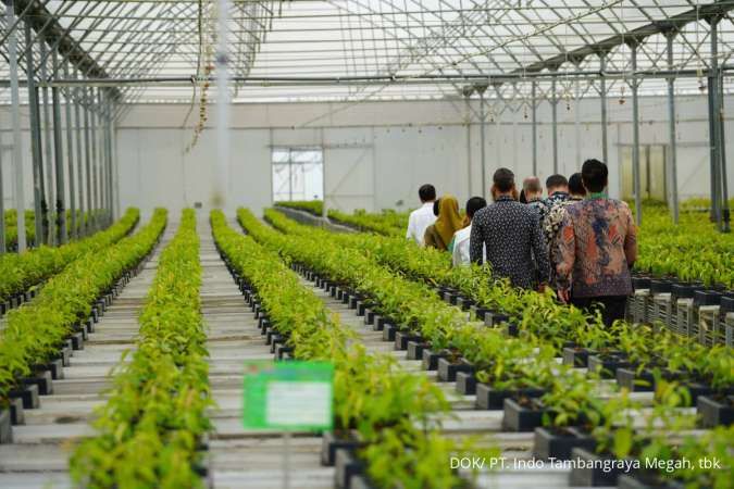 Kontan - PT. Indo Tambangraya Megah, tbk, Advertorial Online