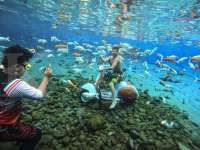 Strategi Kepala Desa Ponggok Membawa Desa Menuju Kemasyhuran Destinasi Wisata Air 