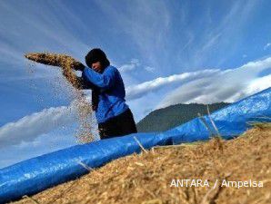 Ada dua juta hektare sawah siap panen