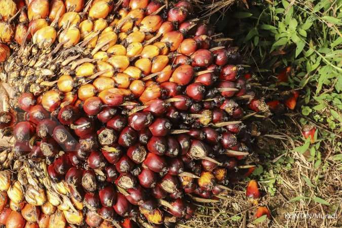 Indonesia akan gunakan strategi ofensif menghadapi black campaign soal kelapa sawit