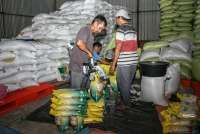 Sidak ke Pasar, Bos Bulog Pastikan Harga Beras Stabil