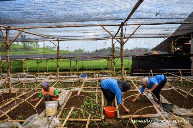 Marsinah dan Krisis Lapangan Kerja Layak