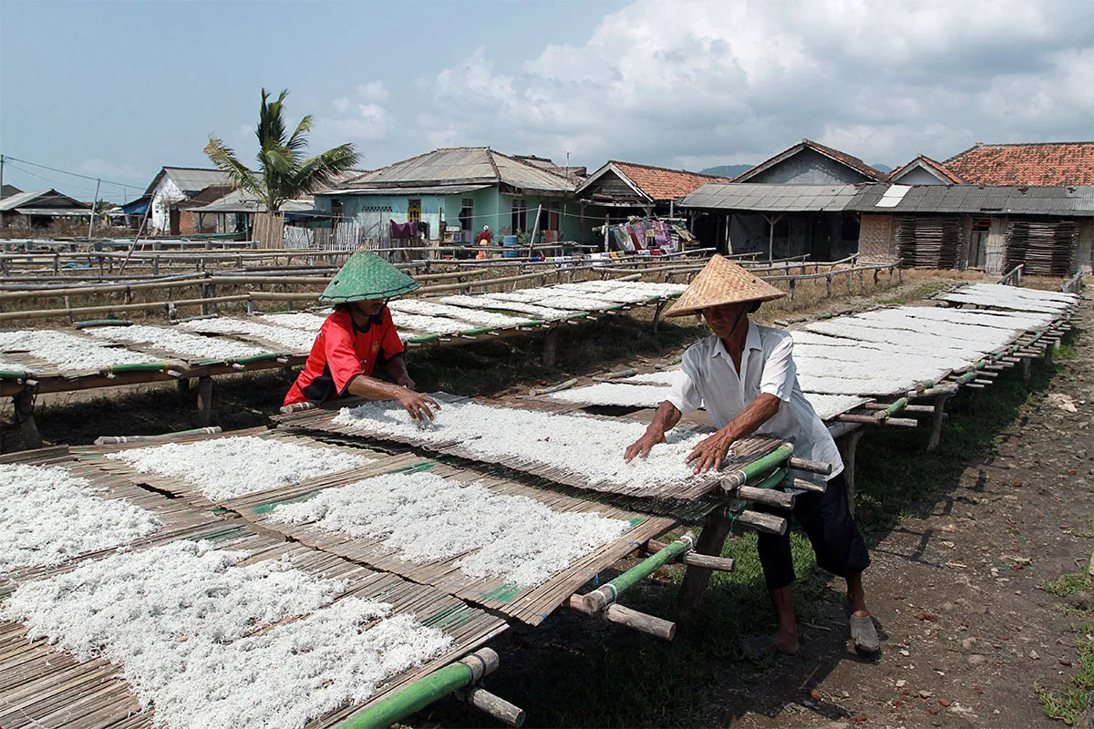 Indonesia Gaungkan Kerja Sama Pemberdayaan UMKM dan Penanganan Perubahan Iklim