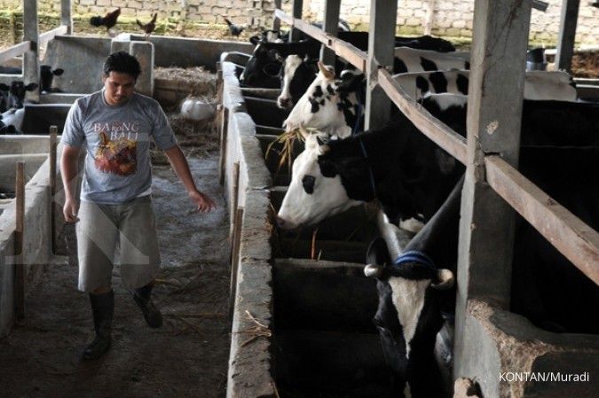 Pasar susu lokal diprediksi susut ke 12% di 2020