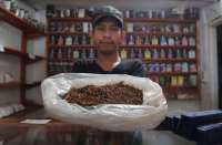 GAPPRI Sebut Serapan Tembakau Lokal Bakal Turun Tajam dengan Adanya PP 29/204