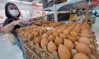 Harga Cabai Turun Tajam, Bapanas Siapkan Penyerapan Telur dan Daging Ayam