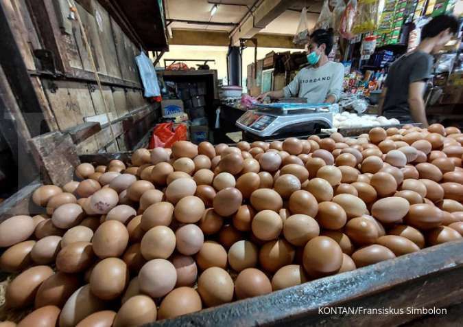 Bansos Pangan Telur dan Ayam Mulai Disalurkan Pekan Ini di Empat Provinsi