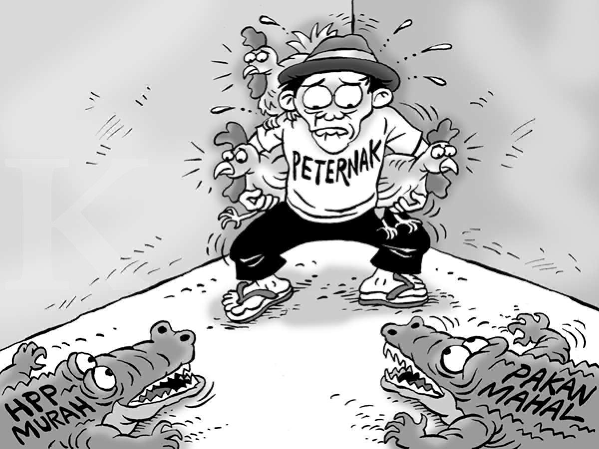 Benny Rachmadi - Peternak Ayam Tersudut