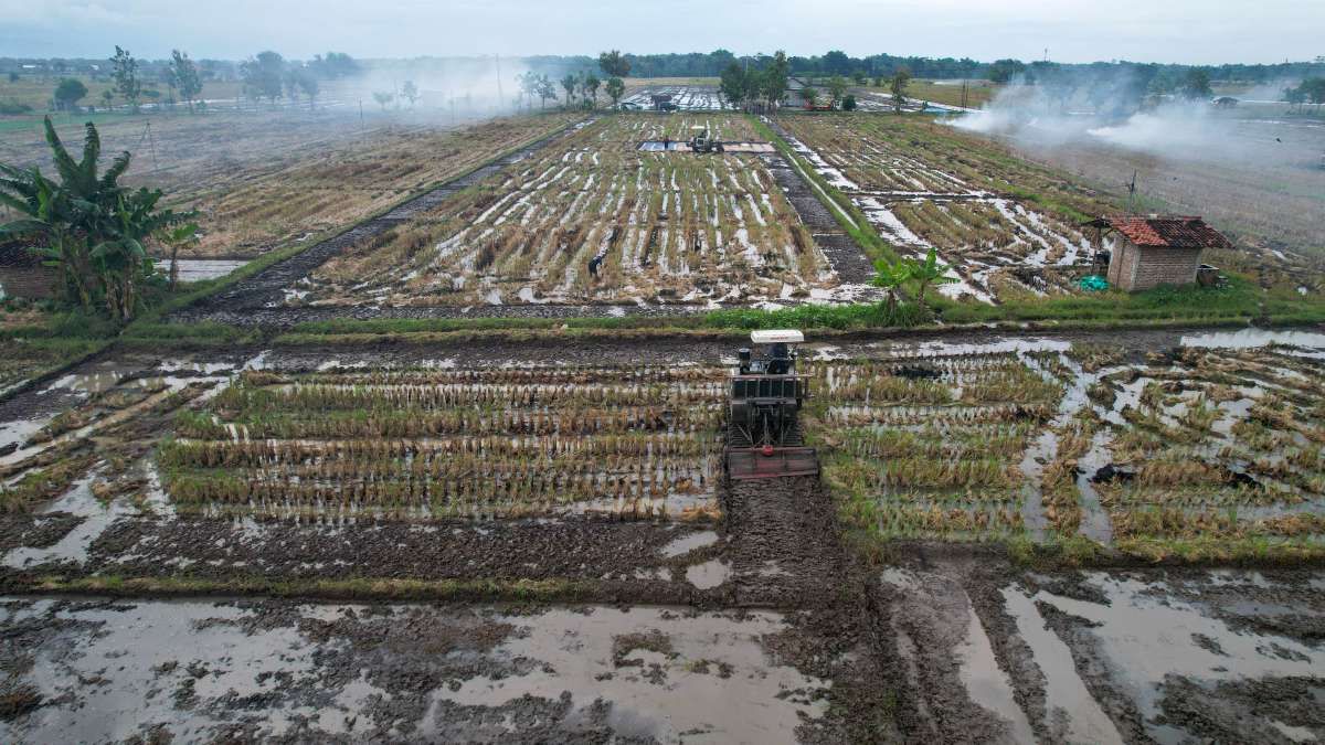 Ponorogo Menerapkan Berbagai Strategi untuk Genjot Infrastruktur Pertanian Padi