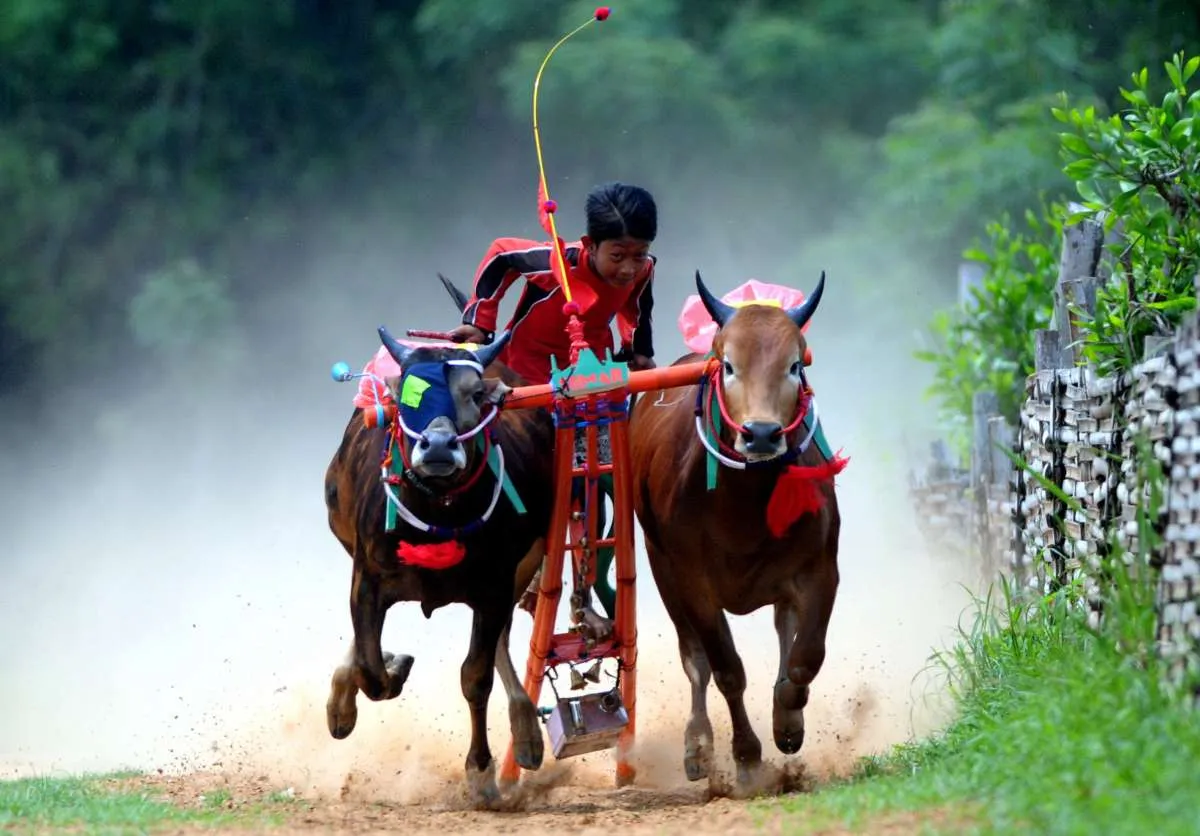 BMKG Ramalkan Cuaca Besok di Jawa Timur, Ada Tiga Wilayah Diguyur Hujan Lebat