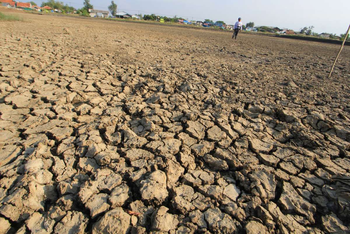 El Nino Menyapu 63% Wilayah RI