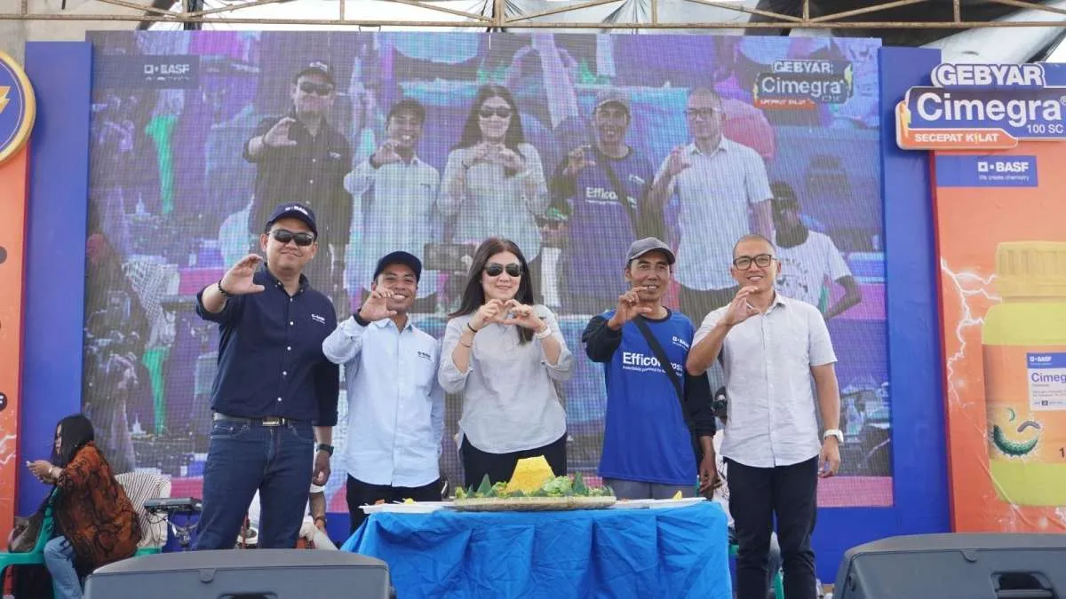 BASF Bantu Petani Bawang Merah Hadapi Serangan Hama