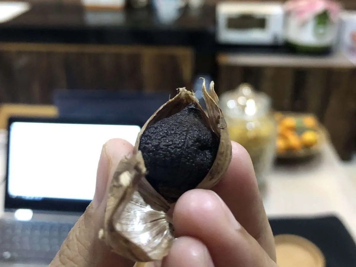 Tak Perlu Beli, Ini Cara Membuat Bawang Hitam di Rumah dan Manfaat Bawang Hitam